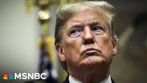 Video post by @msnbc on YouTube