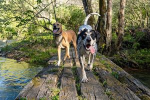 Image post by @jonathn_roberts on Instagram