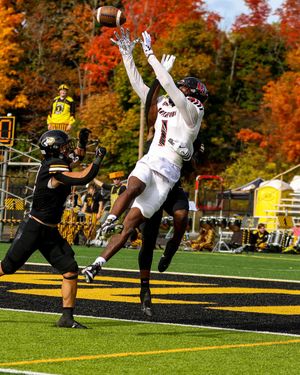 Image post by @karadevriesphotography on Instagram