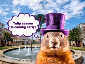 Image post by @texaschristianuniversity on Instagram