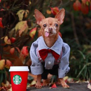 Image post by @animalplanet on Instagram