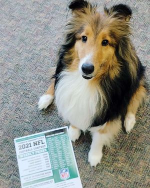 Image post by @burlington_bees on Instagram