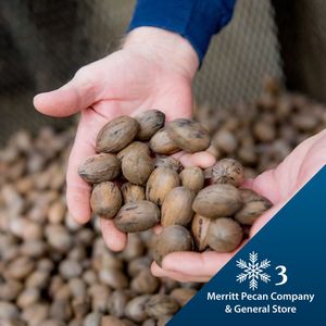 Image post by @farmcredit on Instagram