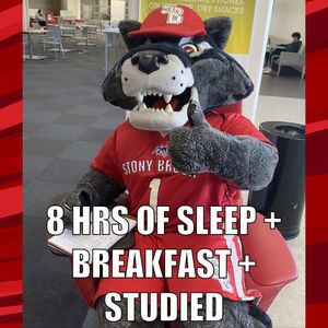 Image post by @stonybrooku on Instagram