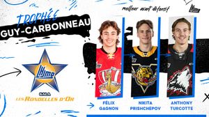 Image post by @lhjmq_qmjhl_ on Instagram