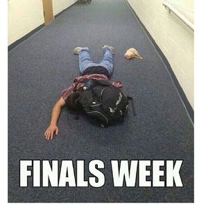 Image post by @carolinateaguesports on Instagram
