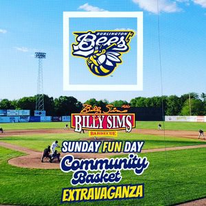 Image post by @burlington_bees on Instagram