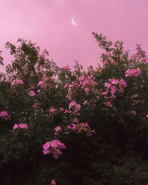 Image post by @fubiz on Instagram