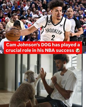 Image post by @whistlesports on Instagram