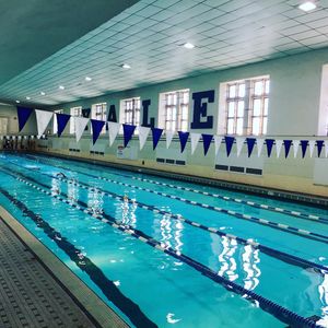 Image post by @yaleswimdive on Instagram