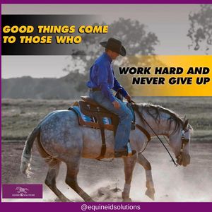 Image post by @equineidsolutions on Instagram