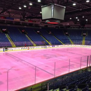 Image post by @readingroyals on Instagram