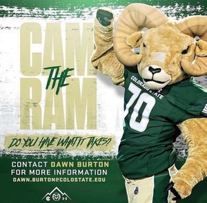 Image post by @csucheerleading on Instagram