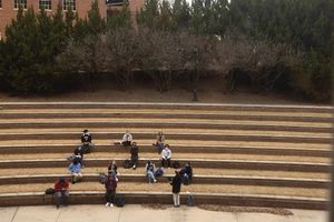 Image post by @universityofga on Instagram