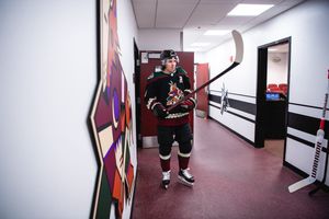 Image post by @arizonacoyotes on Twitter