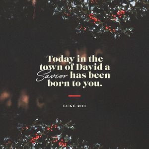 Image post by @leeusoftball on Instagram