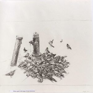 Image post by @drawingcenter on Instagram