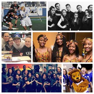 Image post by @hofstrau on Instagram