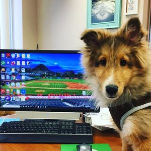 Image post by @burlington_bees on Instagram