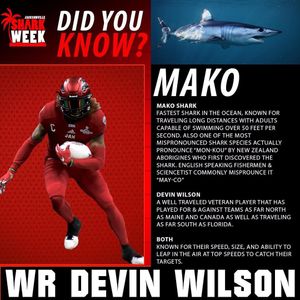 Image post by @jaxsharks on Instagram