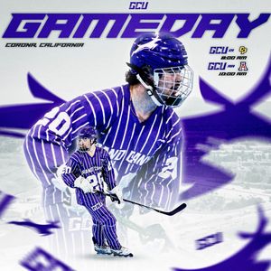 Image post by @lopesroller on Instagram