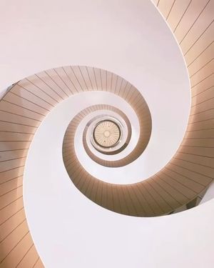 Image post by @moment on Instagram