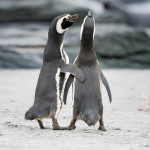 Image post by @discovery on Instagram
