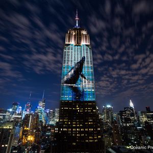 Image post by @discovery on Instagram