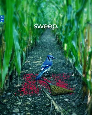 Image post by @gocreighton on Twitter