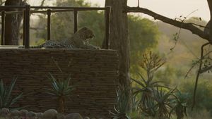 Image post by @reddigitalcinema on Instagram