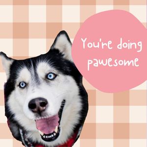 Image post by @northeastern on Instagram