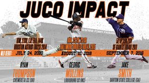 Image post by @gocamelsbsb on Instagram