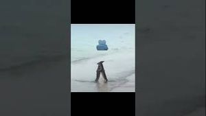 Video post by @mediamayhem. on YouTube