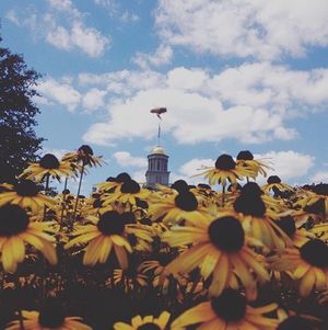 Image post by @iowaadmissions on Instagram