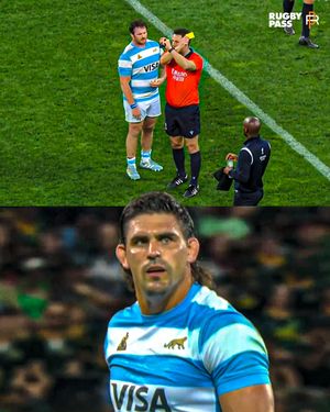 Image post by @rugbypass on Instagram