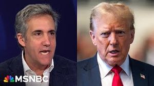Video post by @msnbc on YouTube