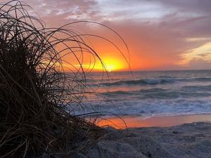 Image post by @cityofveniceflorida on Instagram