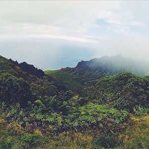 Image post by @olukai on Instagram