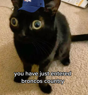 Image post by @broncos on TikTok