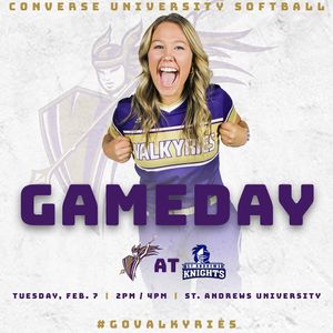 Image post by @valkyriessoftball on Instagram