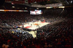 Image post by @marylandterrapins on Instagram