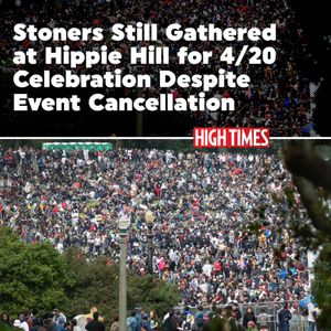 Image post by @hightimesmagazine on Instagram