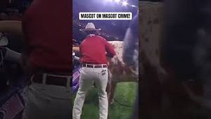 Video post by @247sports on YouTube