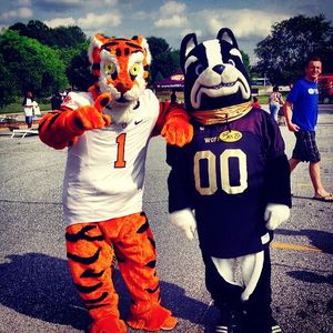 Image post by @thetiger_cu on Instagram