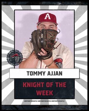 Image post by @arcadia_knights on Instagram