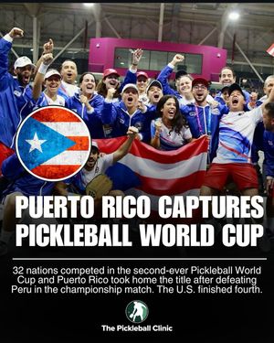 Image post by @thepickleballclinic on Instagram