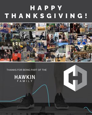 Image post by @hawkindynamics on Instagram
