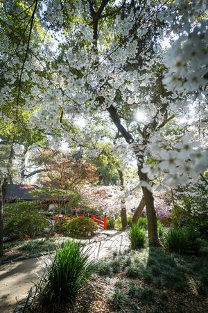 Image post by @kirstenalana on Twitter