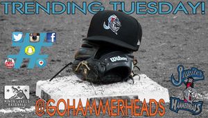 Image post by @gohammerheads on Instagram