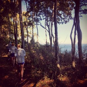 Image post by @hofstratrackxc on Instagram